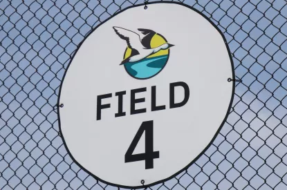 Baseball sign