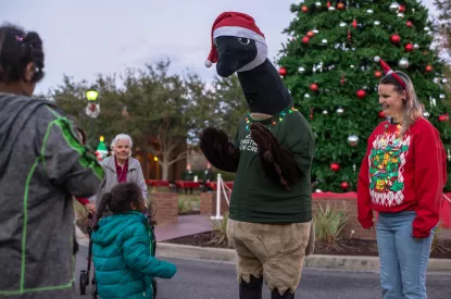 Broose the Goose at Christmas Tree